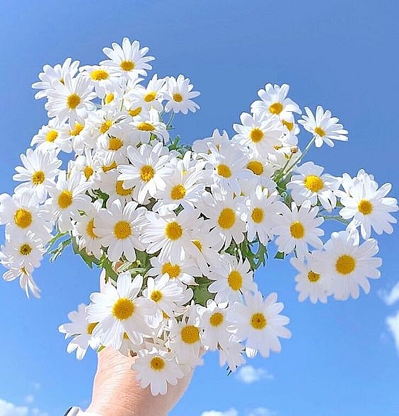 Tử vi 12 con giáp ngày 20/7/2022: Tuổi Tỵ đang có Hỏa Tinh nhập cục