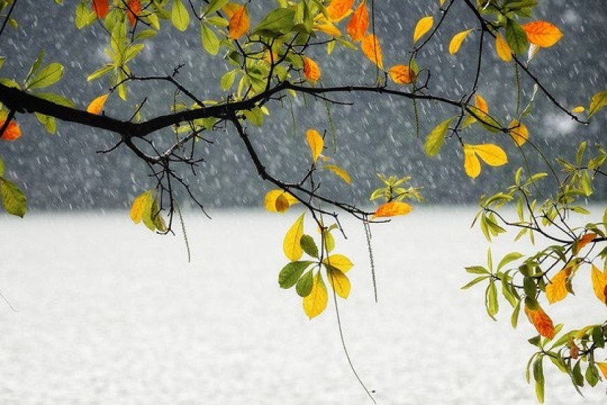 Tử vi 12 con giáp ngày 22/7/2022