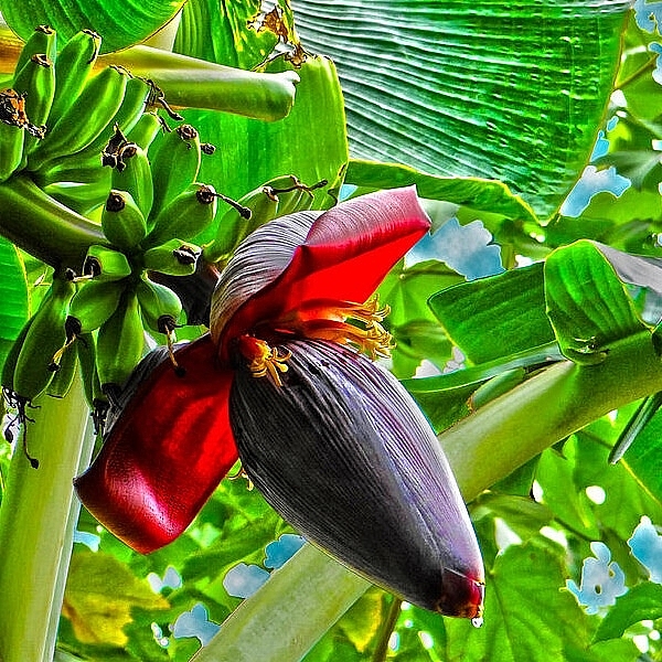 Tử vi 12 con giáp ngày 26/7/2022