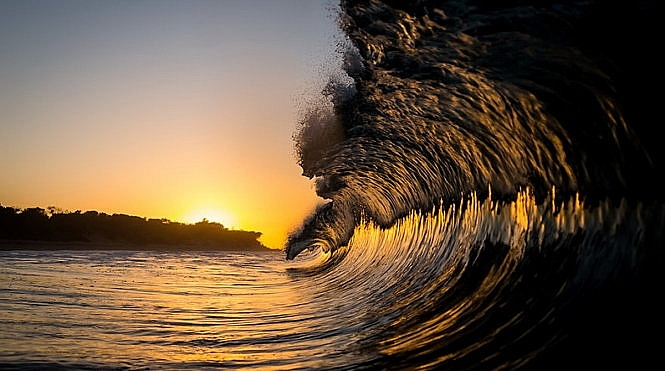 Tử vi 12 con giáp ngày 4/8/2022. Ảnh: BOREDPANDA