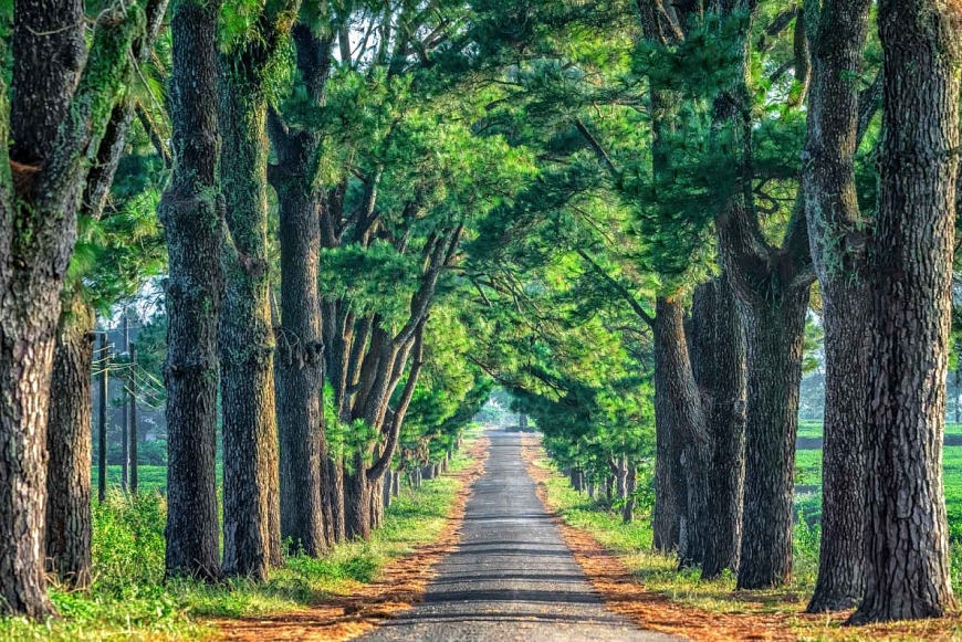 Tử vi 12 con giáp ngày 10/8/2022