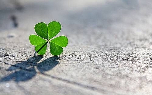 Tử vi 12 con giáp ngày 15/8/2022: Tuổi Mùi mù quáng trong tình cảm