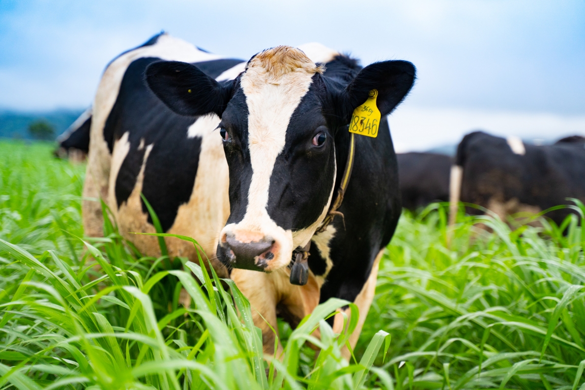 Tử vi 12 con giáp ngày 21/8/2022