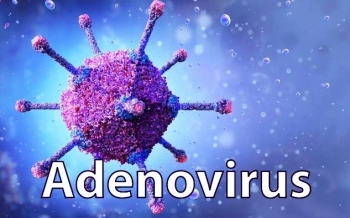 Adeno virus nguy hiểm như thế nào?