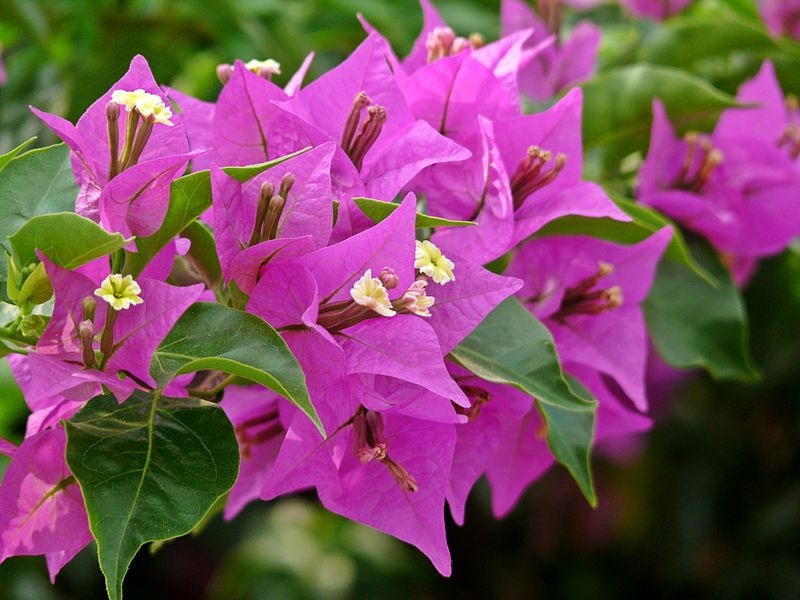 Tử vi 12 cung hoàng đạo 28/9. Ảnh minh hoạ