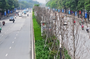Hà Nội: Bộ Công an yêu cầu định giá cây xanh các loại giai đoạn từ 2016-2018