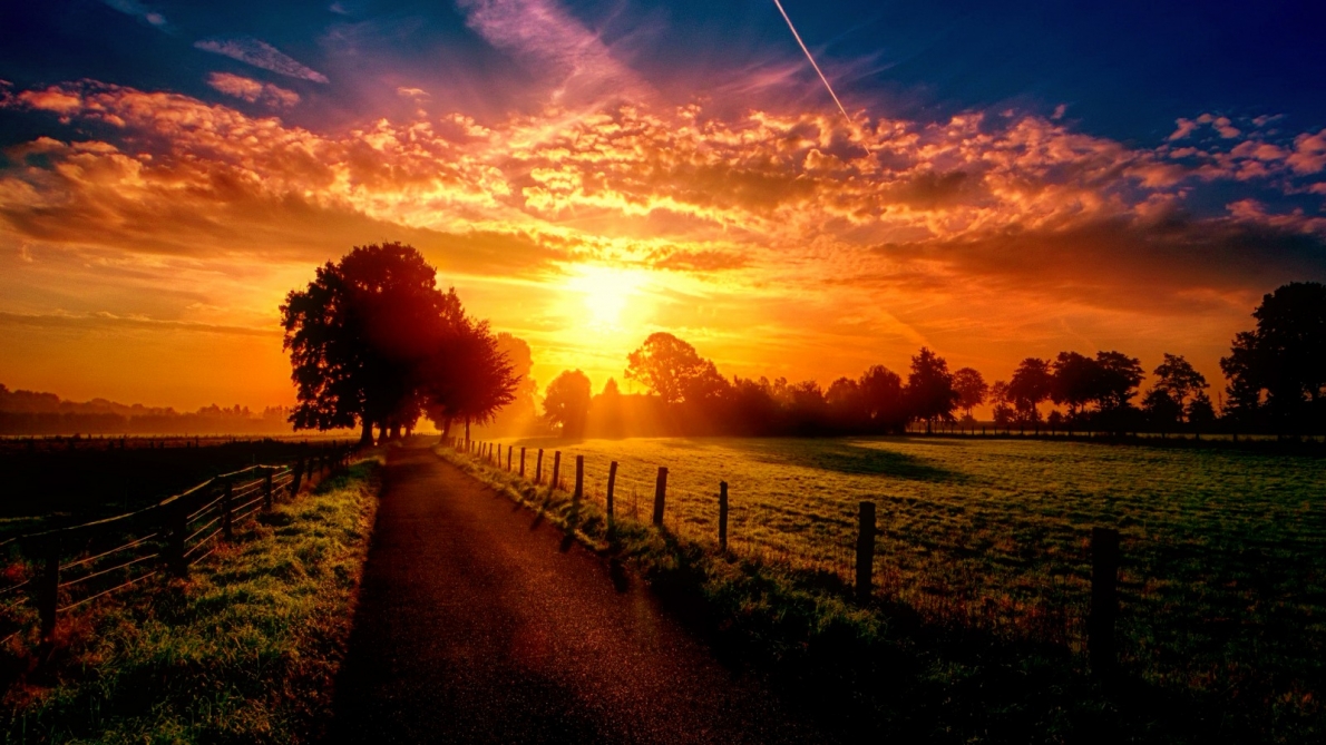 Tử vi 12 con giáp ngày 29/10/2022. Ảnh minh hoạ