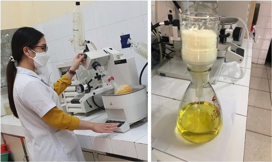 Việt Nam tổng hợp thành công hợp chất để sản xuất thuốc điều trị Covid-19 giá rẻ