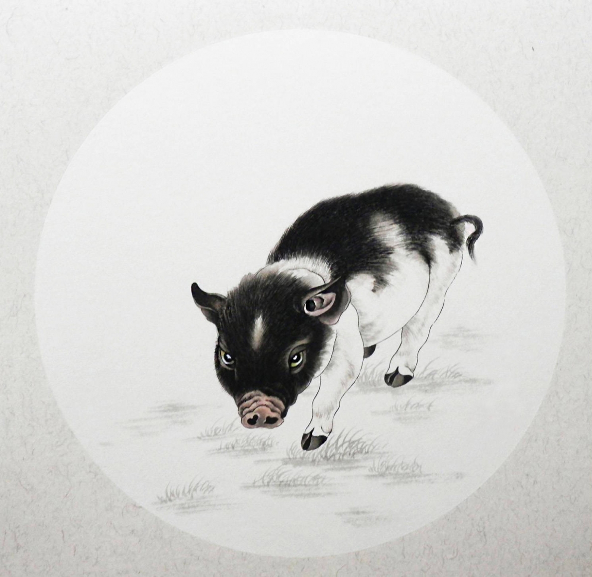 Tử vi 12 con giáp ngày 5/11/2022. Ảnh minh hoạ