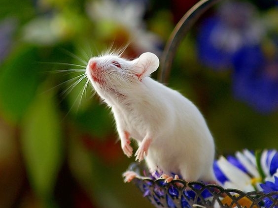 Tử vi 12 con giáp ngày 6/11/2022. Ảnh minh hoạ