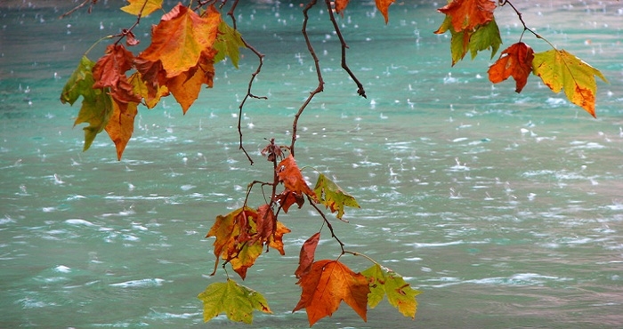 Tử vi 12 con giáp ngày 11/11/2022. Ảnh minh hoạ