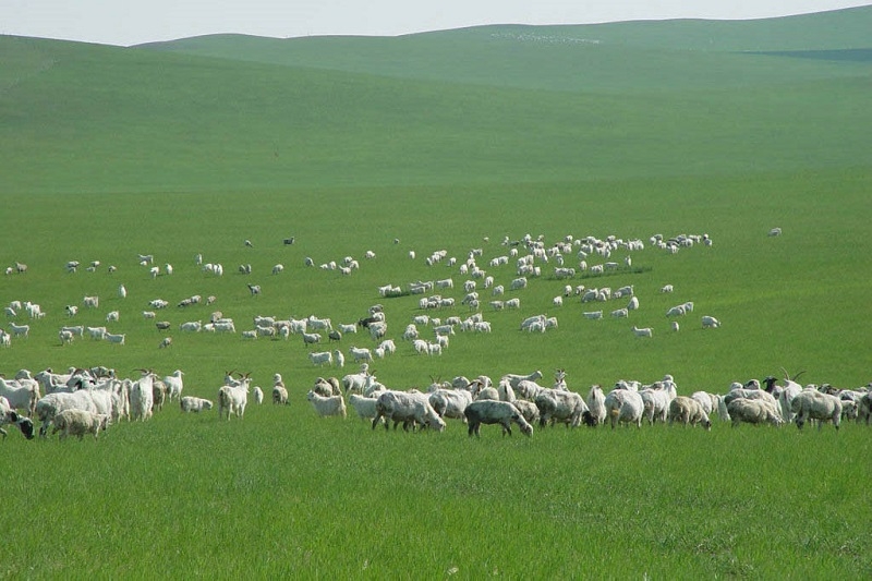 Tử vi 12 con giáp ngày 17/11/2022. Ảnh minh hoạ