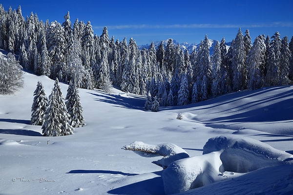 Tử vi 12 con giáp ngày 21/11/2022. Ảnh minh hoạ