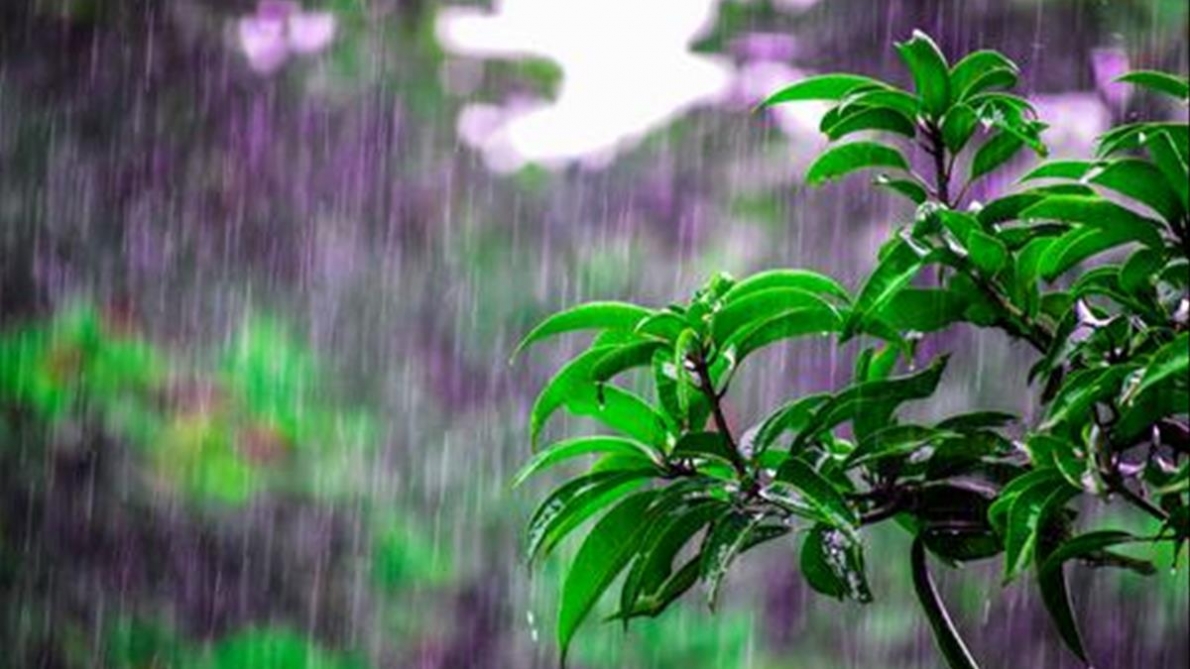 Tử vi 12 con giáp ngày 25/11/2022. Ảnh minh hoạ