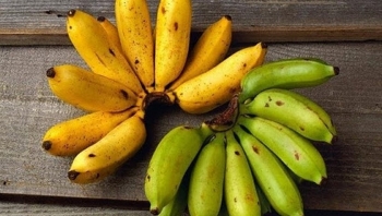 Những loại trái cây cần tránh xa vì có chứa độc tố kích thích sự phát triển của ung thư
