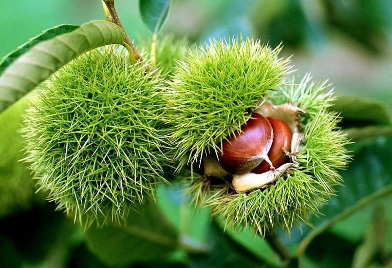 Tử vi 12 con giáp ngày 8/12/2022. Ảnh minh hoạ