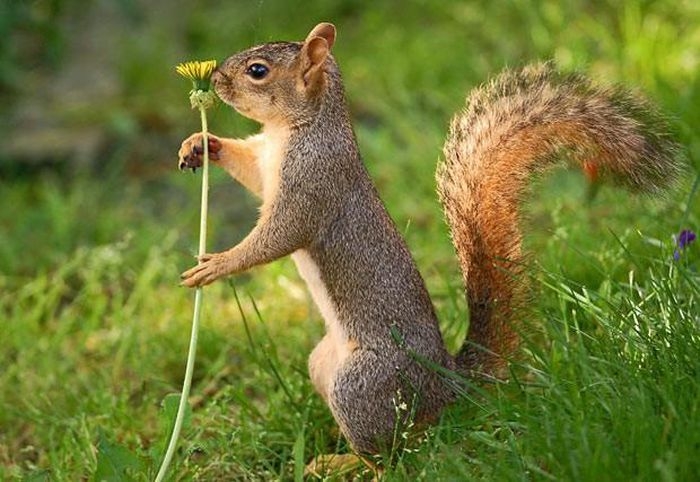 Tử vi 12 con giáp ngày 8/12/2022. Ảnh minh hoạ