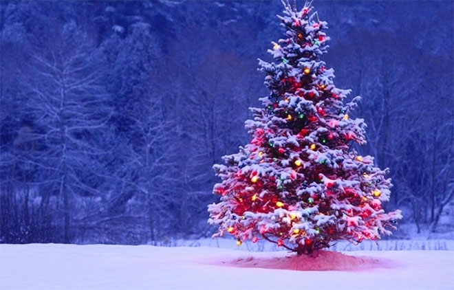 Tử vi 12 con giáp ngày 9/12/2022. Ảnh minh hoạ