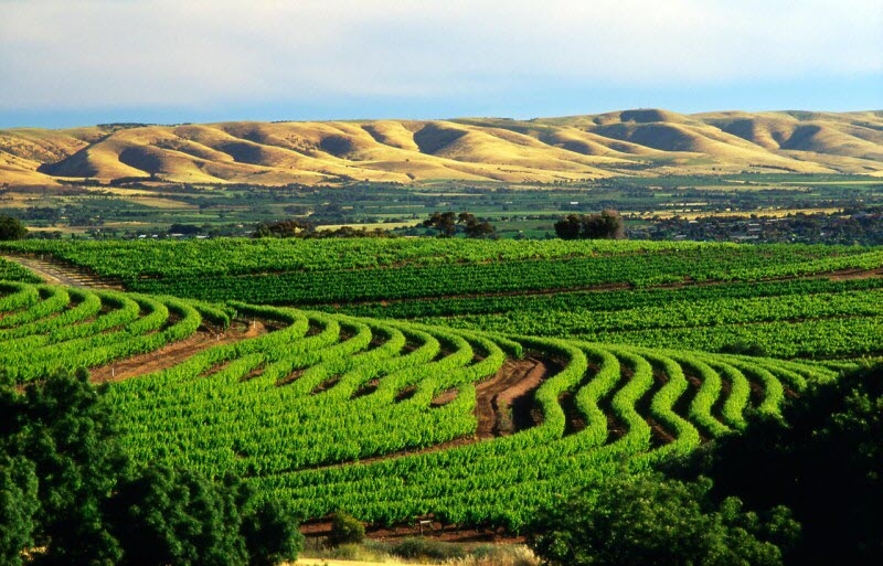 Tử vi 12 con giáp ngày 11/12/2022. Ảnh minh hoạ