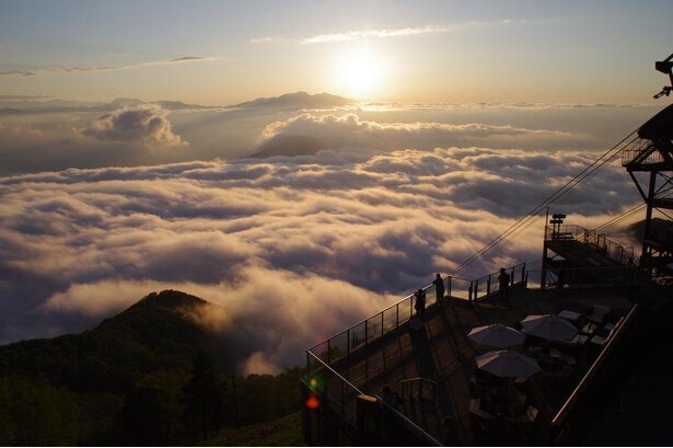 Tử vi 12 con giáp ngày 14/12/2022. Ảnh minh hoạ