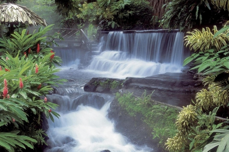 Tử vi 12 con giáp ngày 17/12/2022. Ảnh minh hoạ