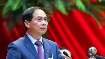 Đề nghị xem xét kỷ luật Bộ trưởng Bộ Ngoại giao Bùi Thanh Sơn