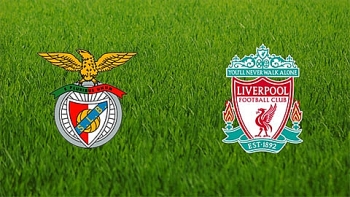 Link xem trực tiếp bóng đá Benfica vs Liverpool, tứ kết cúp C1