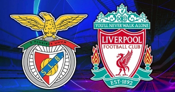 Link xem trực tiếp bóng đá Liverpool vs Benfica, tứ kết cúp C1