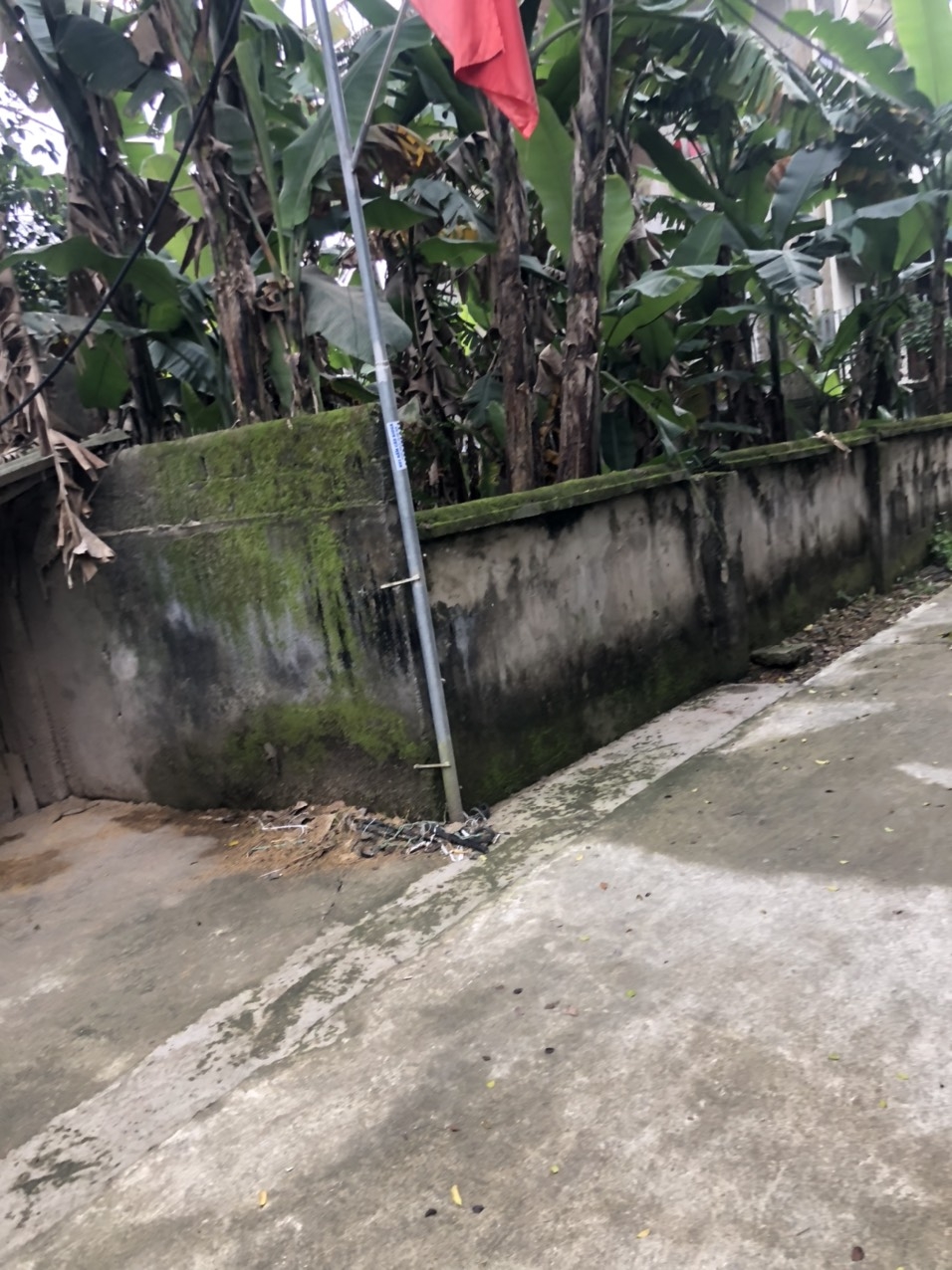 Hướng Đông của nhà ông Kim Ba Lan