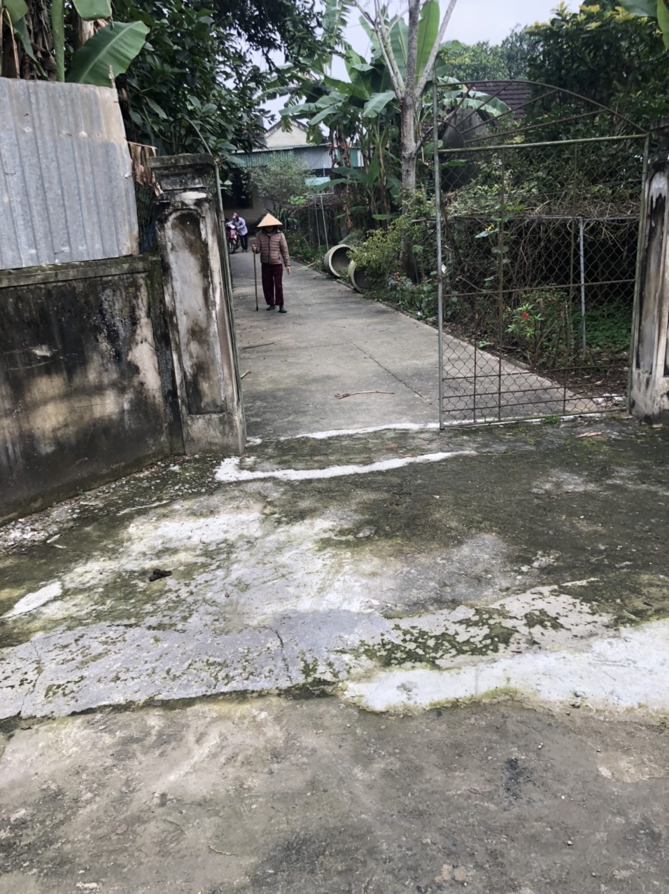 Tự vẽ con đường đi 159m2 chưa cấp cho ai