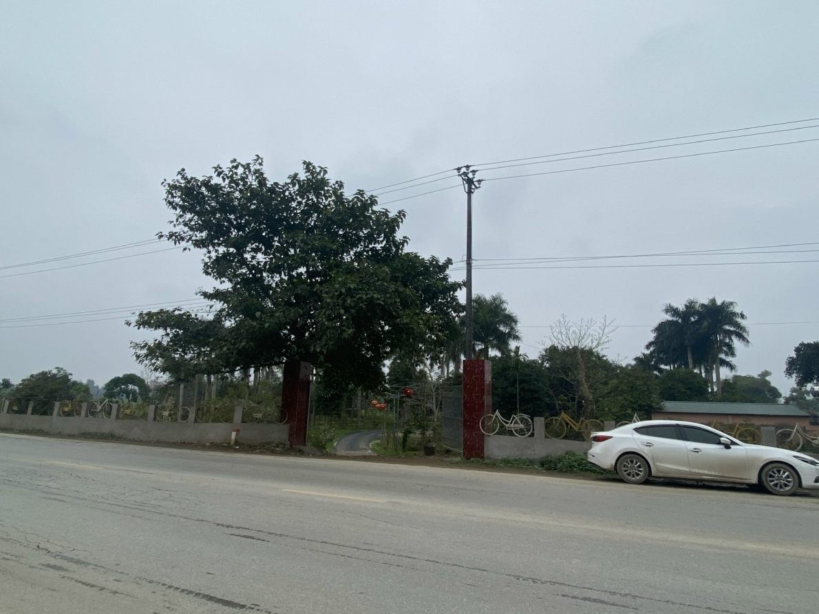 Khu đất gia đình bà Bùi Thị Tơ đang sử dụng hợp pháp