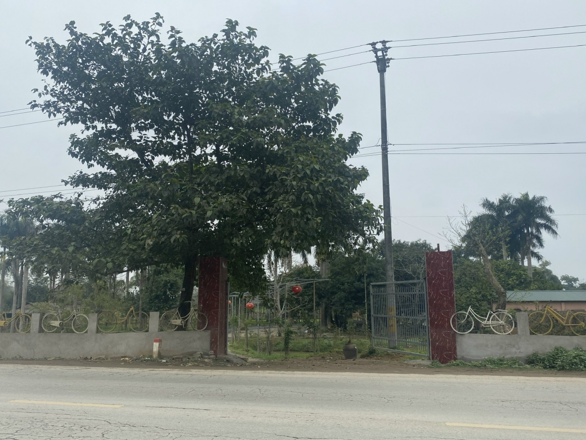 Cái cây to như vậy, là bằng chứng việc dân sử dụng đất đã mấy chục năm