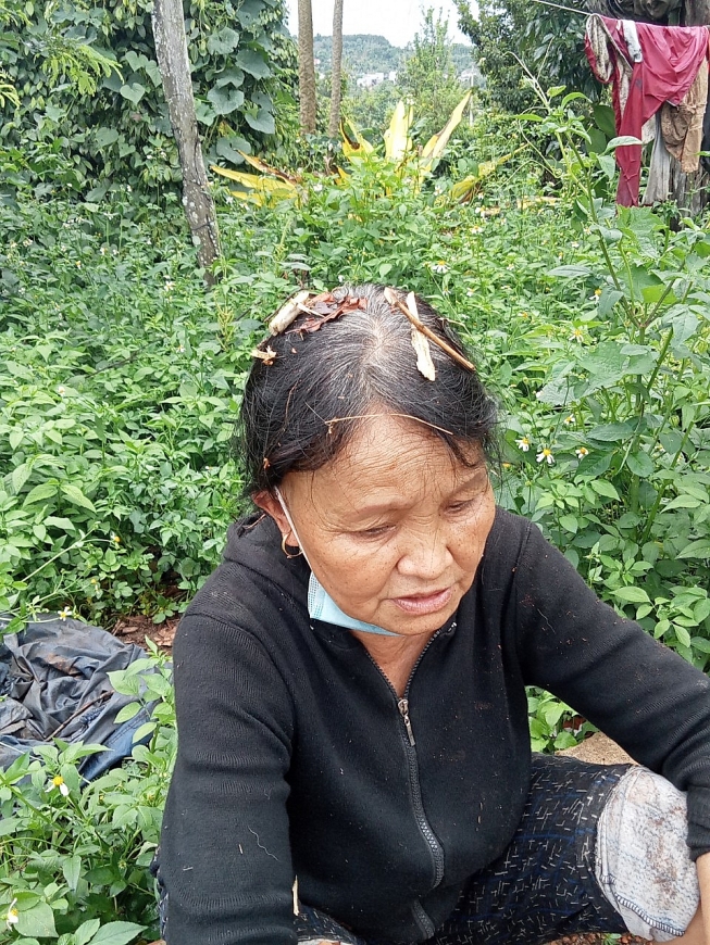 Bà Đặng Thị Quy đau xót khi cây cối, hoa màu của gia đình bị hủy hoại tan hoang