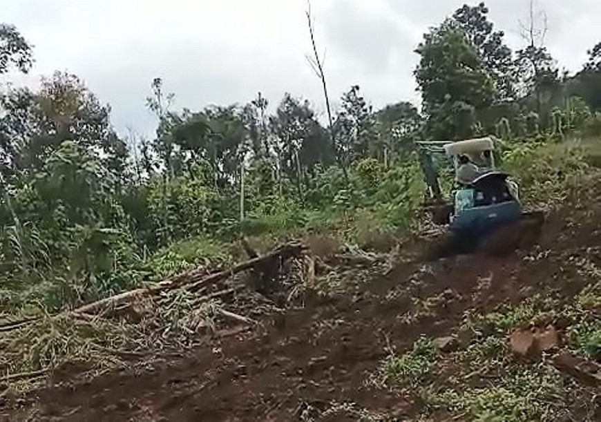 Đối tượng Nguyễn Văn Hổ tiếp tục cho máy móc vào phá hoại cây cối, hoa màu trong vườn của gia đình bà Đặng Thị Quy