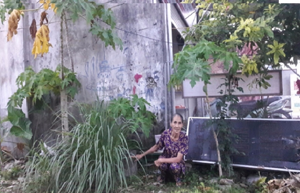 Mốc lộ giới “203” đoạn qua đất của bà Lương được đóng cách tim Quốc lộ 1A ra 17,5m