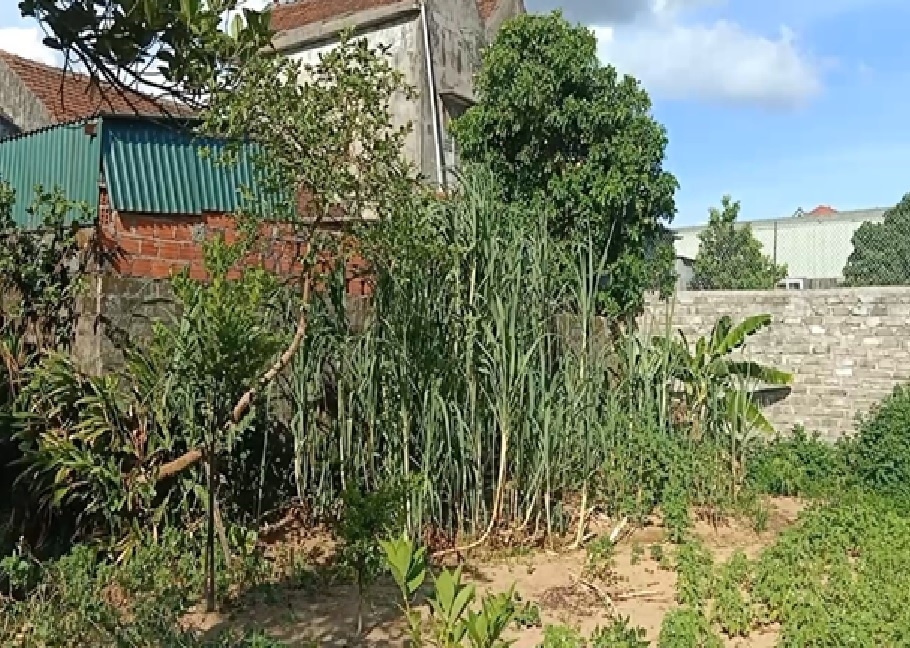 Ông Cỏn, ông Ninh đã sử dụng hết đất để làm nhà ở, công trình kiên cố (bên trái ảnh), còn ông Đông lấn chiếm thêm 240m2 đất và được xây bao bằng táp lô cao gần 3m (bên phải ảnh)