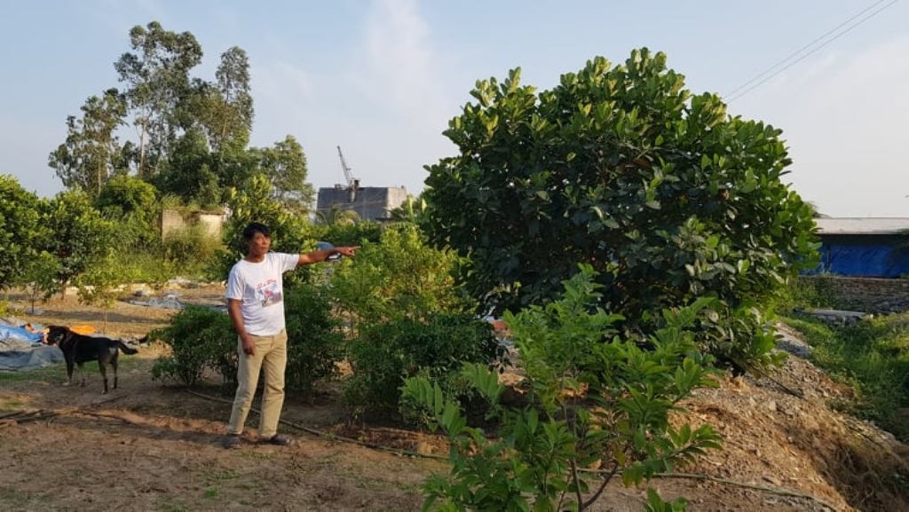 Ông Quý đang chỉ cho phóng viên khu đất của gia đình ông