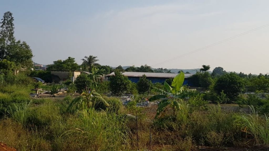 Khu đất của gia đình ông Quý, được cho là nằm trong vành đai an toàn nổ mìn của Công ty xi măng Phúc Sơn