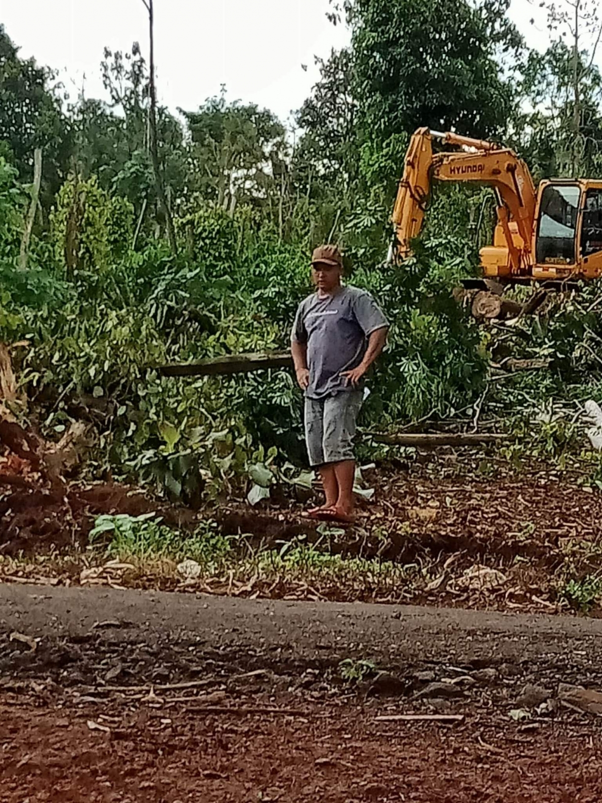 Ông Nguyễn Văn Cường huy động người và máy móc đến phá vườn cây của ông Minh, bà Quy