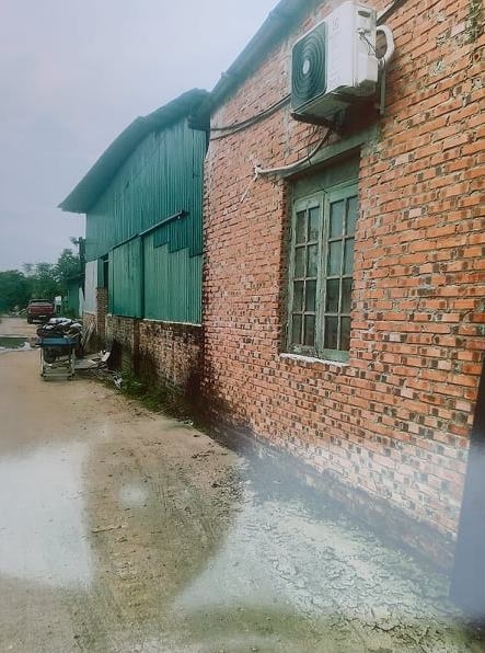 Hộ ông Nguyễn Văn Bảy làm lán xưởng cho thuê trên đất lấn chiếm khu đầm, lò gạch