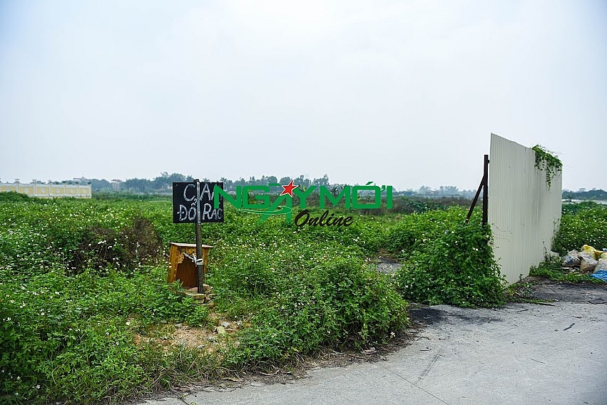 Tổ hợp Y tế TH Medical được người cao tuổi mong chờ đang là được thực hiện như thế nào?