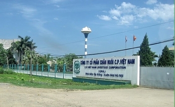 Ngoài bị phạt vì xả thải vượt chuẩn ra môi trường, Công ty  chăn nuôi C.P Việt Nam từng bị truy thu 138 tỉ đồng tiền thuế