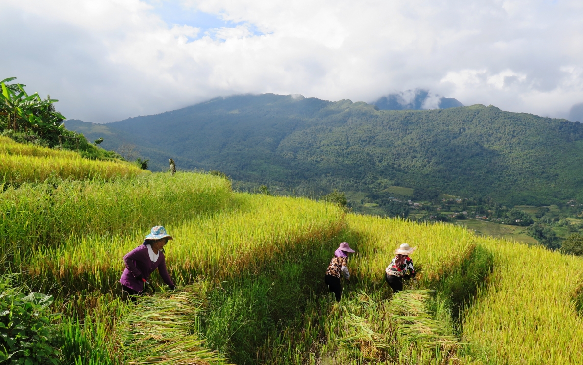 Cơ hội phát triển du lịch nông thôn gắn với xây dựng nông thôn mới