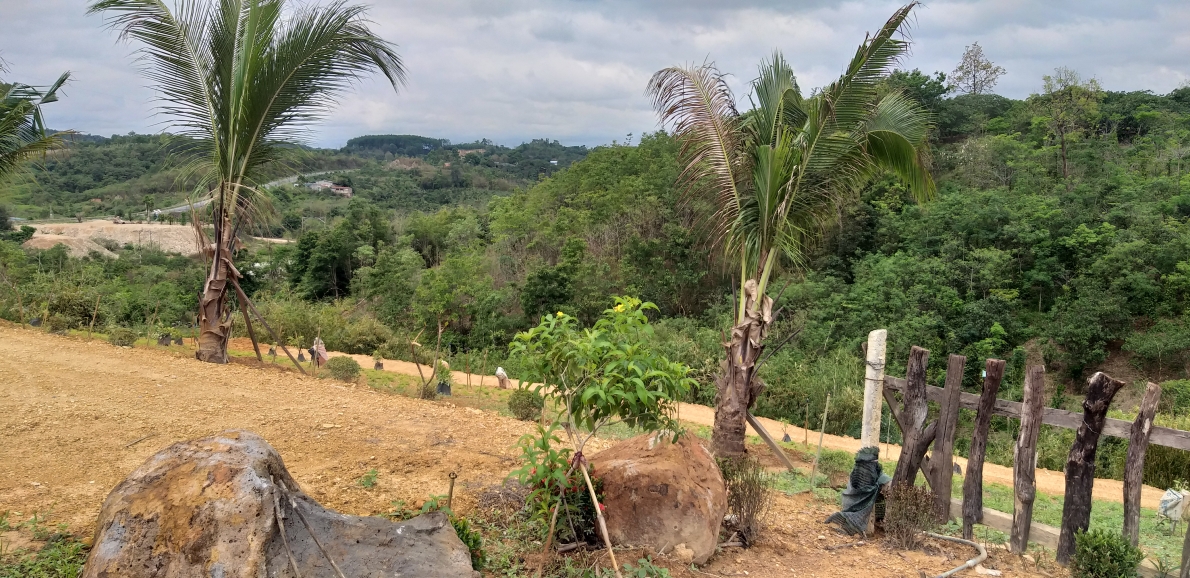 Cán bộ công an khai 