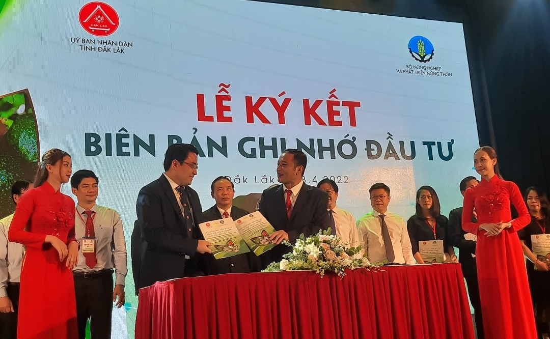 Đắk Lắk: Cần những nhà đầu tư tâm huyết để phát triển nông nghiệp bền vũng.