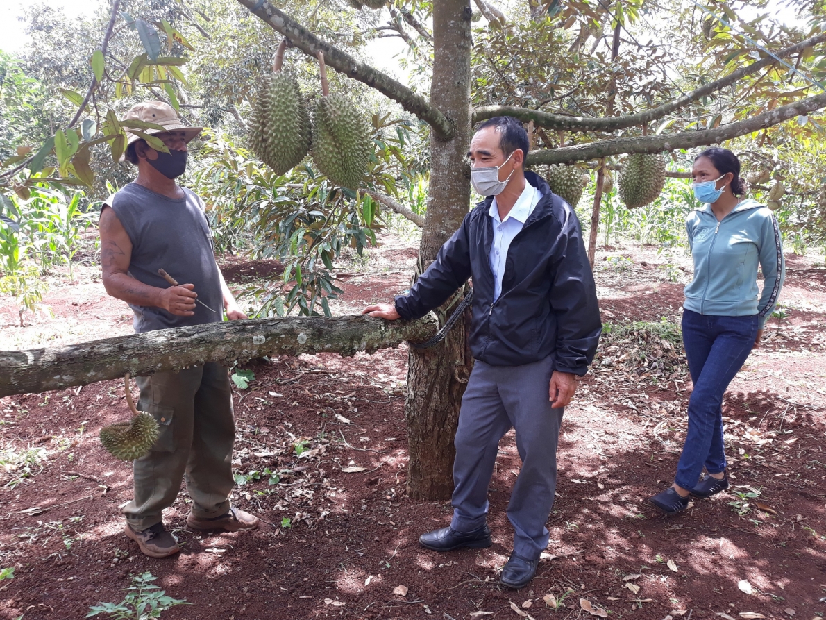 Đắk Lắk: Hiệu quả của câu lạc bộ “Liên thế hệ tự giúp nhau”