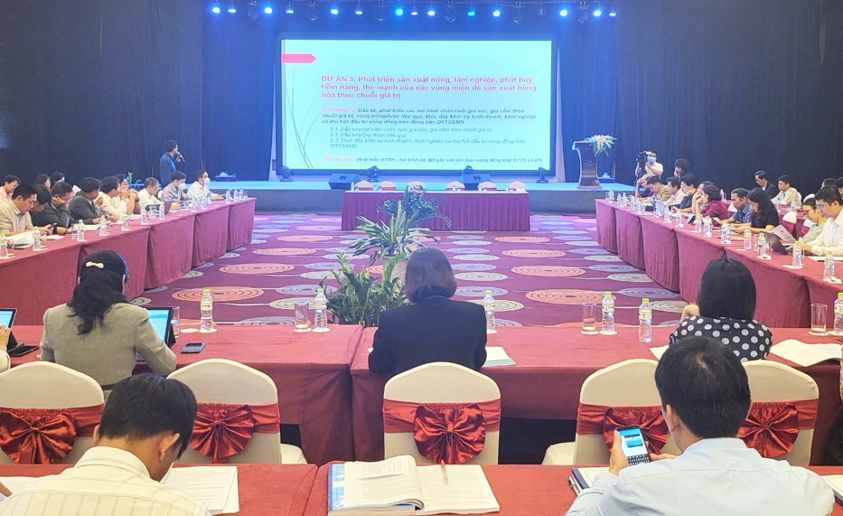 Tỉnh Đắk Lắk: Triển khai trồng dược liệu quý tại vùng đồng bào dân tộc thiểu số