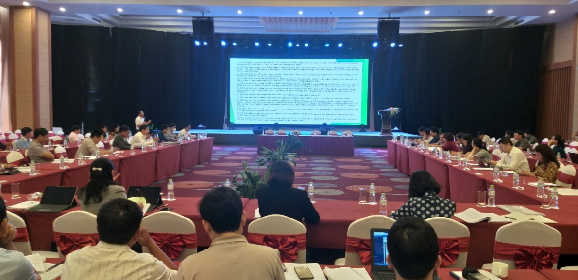 Tỉnh Đắk Lắk: Triển khai trồng dược liệu quý tại vùng đồng bào dân tộc thiểu số