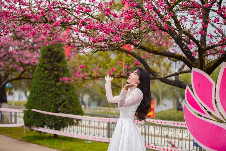 Dự báo có tuyết rơi cuối tuần này, du lịch Sa Pa lại “chiếm sóng”