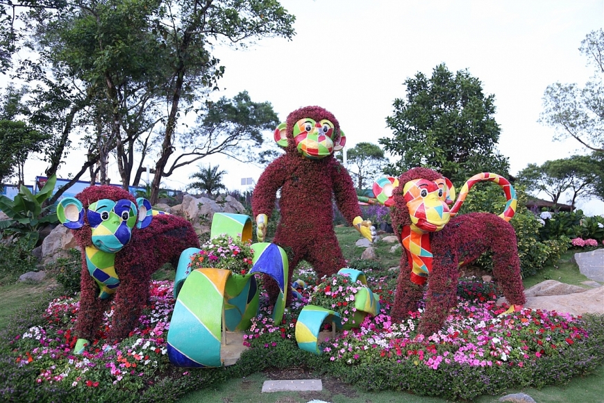 Ngắm nhìn Núi Bà Tây Ninh đẹp vi diệu những ngày đầu xuân